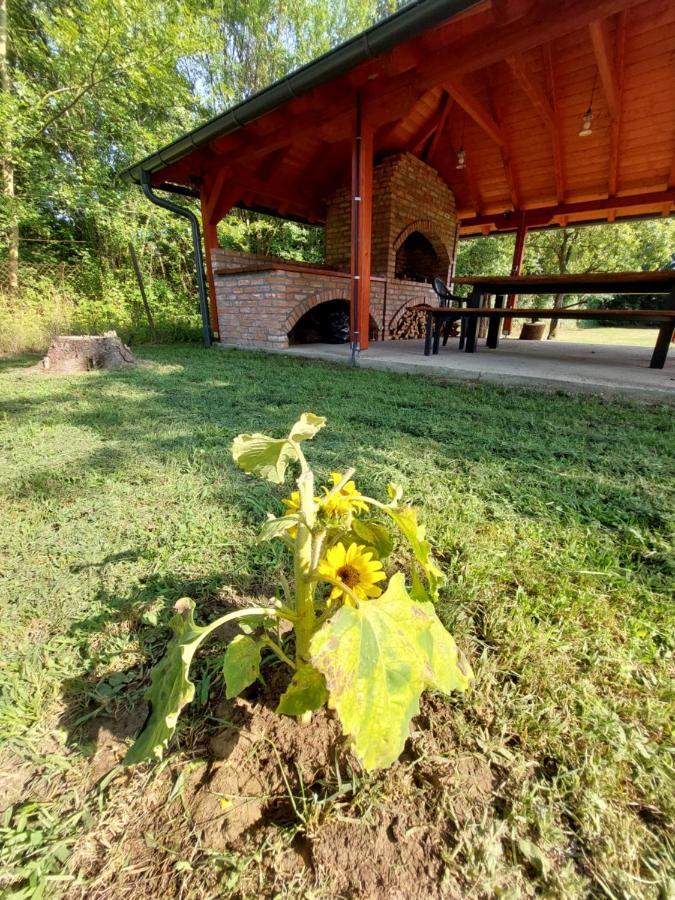 Вилла House Kupa Mb Petrinja Экстерьер фото