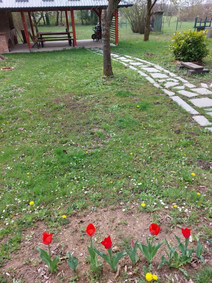 Вилла House Kupa Mb Petrinja Экстерьер фото