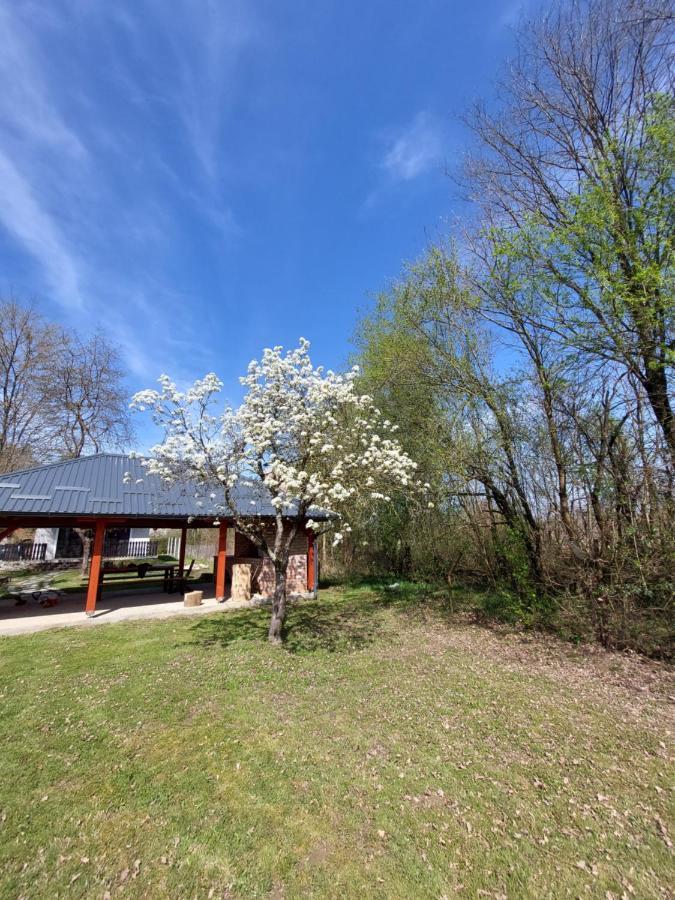 Вилла House Kupa Mb Petrinja Экстерьер фото
