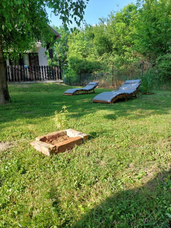 Вилла House Kupa Mb Petrinja Экстерьер фото